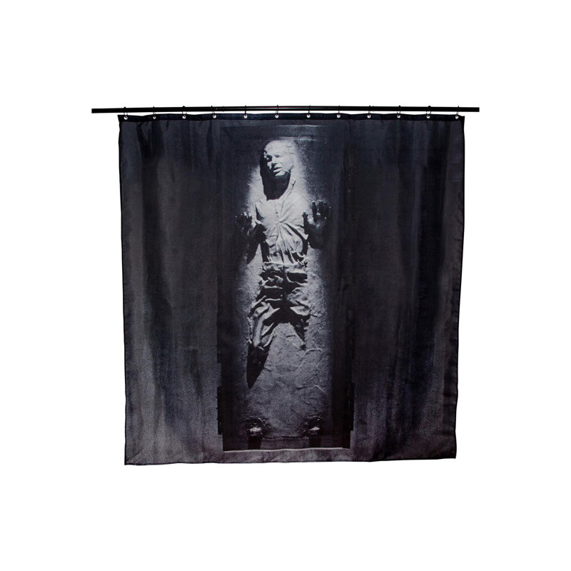 Denetta Shower Curtain with Hooks Included