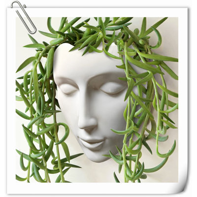 Kalesia Planter
