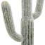 Cactus artificiel noir, hauteur 24,5 po, texturé, bocal H 24,5 po, réaliste, accessoire pour la maison