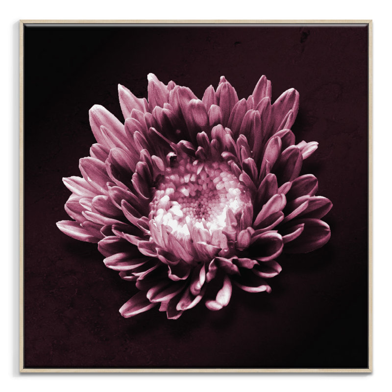 Print on Canvas, 102cm H x 102cm W, Black Floater Frame
