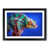 Black Framed selected