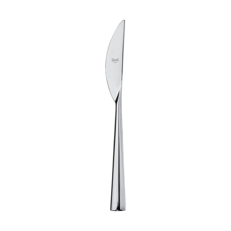Energia Stainless Steel Dinner Knife