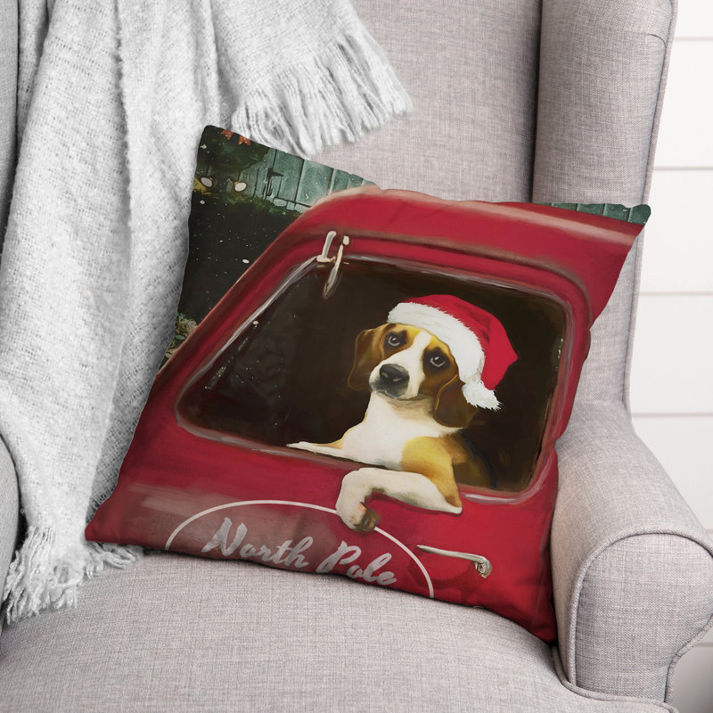Throw Pillow, 20" H x 20" W