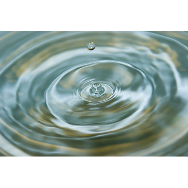 Frozen Time - Wrapped Canvas Print, 81cm H x 122cm W x 3.8cm D