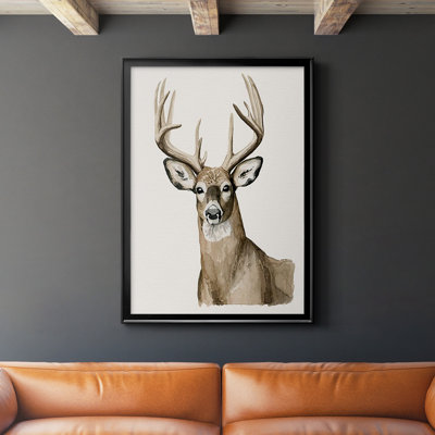 " Handsome Whitetail I "