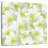 Harnek White Jasmine Flowers-109358906