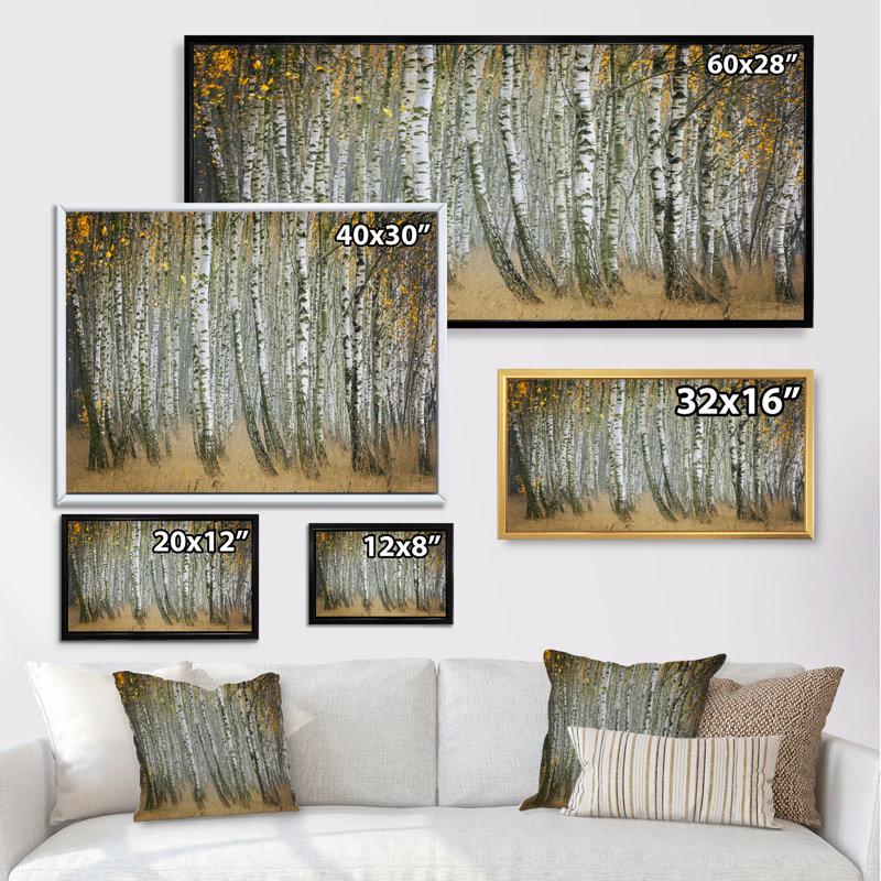 Forêt de bouleaux d'automne III - photographie sur toile, H 30 po x l 40 po x P 1,5 po, Cadre brun