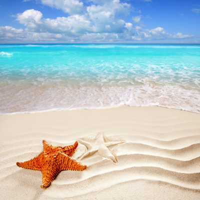 Caribbean Tropical Beach - Wrapped Canvas Print