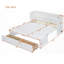 Lit escamotable double avec port USB et grand tiroir - aucun sommier nécessaire, robuste pour une utilisation prolongée (L 79,9 po x l 56,1 po x H 35,5 po comme lit, L 56 po x l 21,6 po x H 48,8 po comme armoire)-2021500081-2021500080