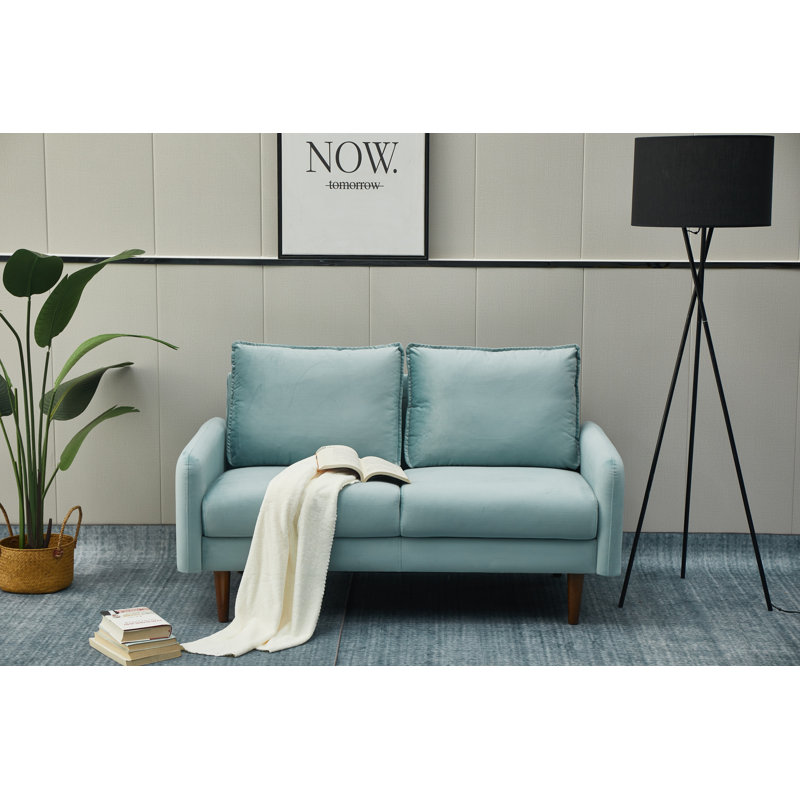 Emteas 57.3'' Velvet Loveseat, Light Grayish Cyan Velvet