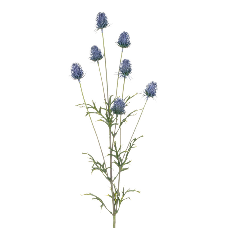 Ensemble de 3 tiges de fleur de chardon bleu pour décoration intérieure Sullivan's