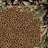 Alminus Jungle Safari Topaz Animal Print Area Rug-260890648