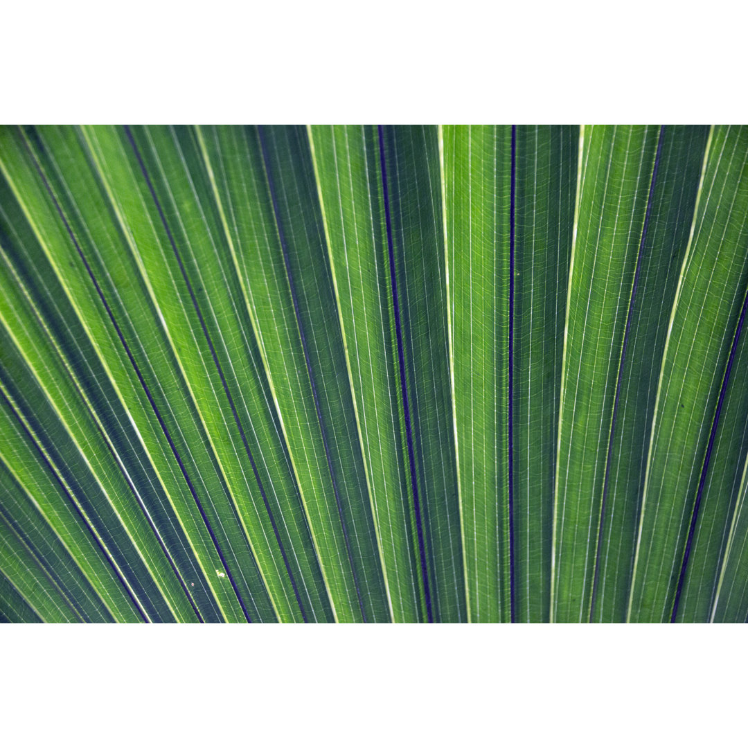 Palm Leaves Pattern