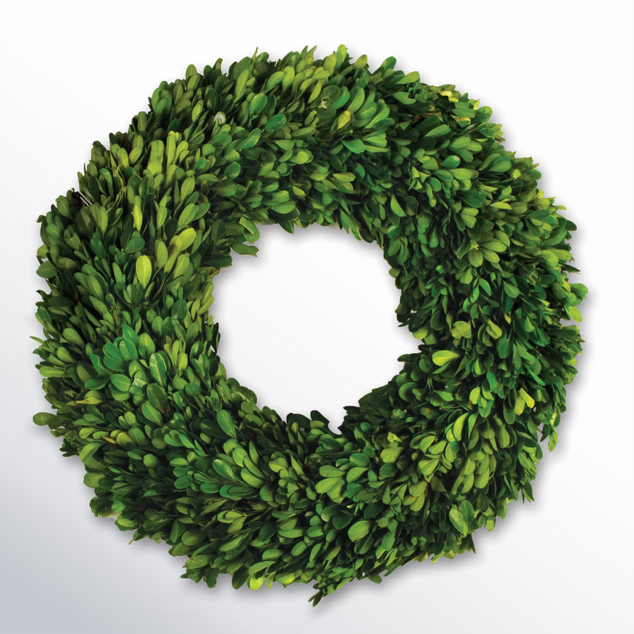 Javin Preserved Boxwood Wreath