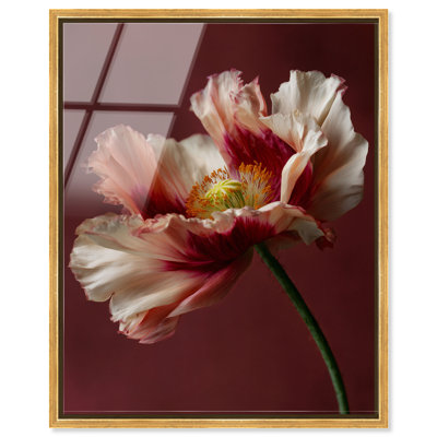Merlot Blush Blossom I Print