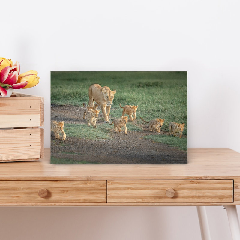 Lioness And Her Cubs Contemporary Cat Lion Nature Wildlife Wall Art Print by Jeffrey C. Sink - 1 Piece Wrapped Canvas Wall Art