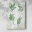 Herbes fraîches II - Cavas enveloppés de galerie