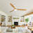 Jaustin 52'' Ceiling Fan with LED Lights-1446773645-1446042183