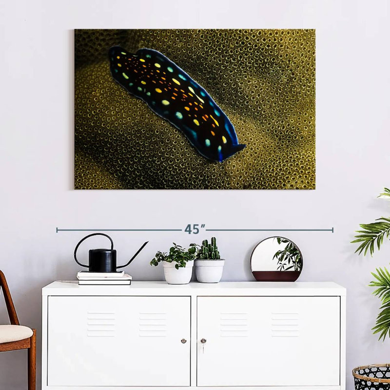 Linda's Flatworm, 26" H x 39" W