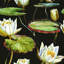 Catrisha Matte Mural-351732560