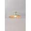TEELIN Flush Mount