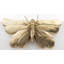 Shawnna Animals Figurines & Sculptures