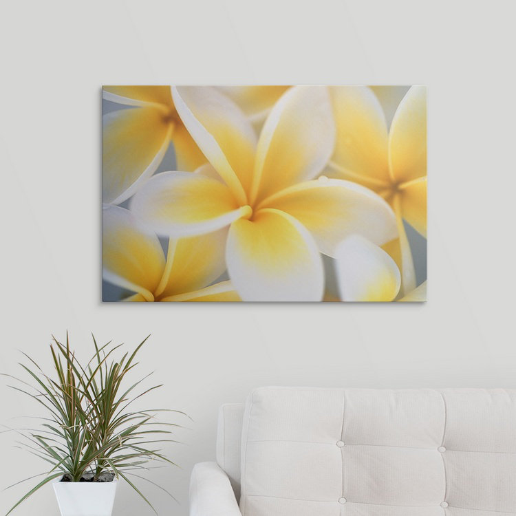 Fleurs - reproduction de photo, H 24 po x l 36 po x P 1,5 po, Toile
