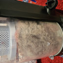 Langley Street Lineberger Hand Tufted Wool Floral Rug & Reviews ...