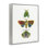 Giclée encadrée de Bright Moths Earth Tones, conception de Farida Zaman