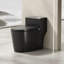Toilette siphonique silencieuse 12 po 15,75 po