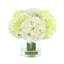 Hydrangeas Arranged in Glass Vase