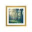 « inner paix » par olivia joy stclaire-impression à photographie-49905520-49905523