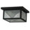 2 - Light Flush Mount