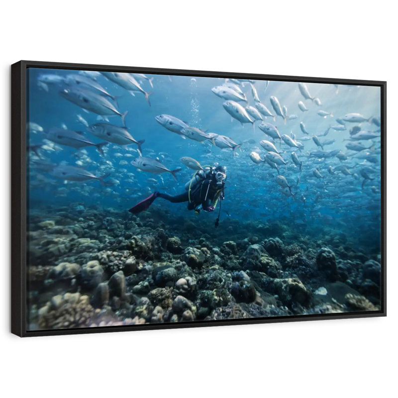 Plongeur, Cadre flottant noir, 40 po x 27 po