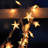 Bussell 30 - Bulb 252'' Solar Powered Curtain String Light