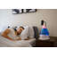 Drop 2.0 , 4-in-1 Cool-Mist Humidifier with Aroma Tray & Sound Machine-1435172435