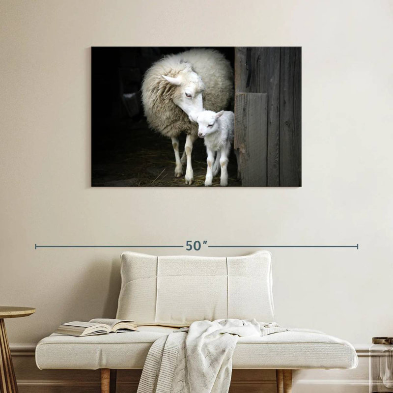 Mouton Brampt, H 26 po x l 39 po