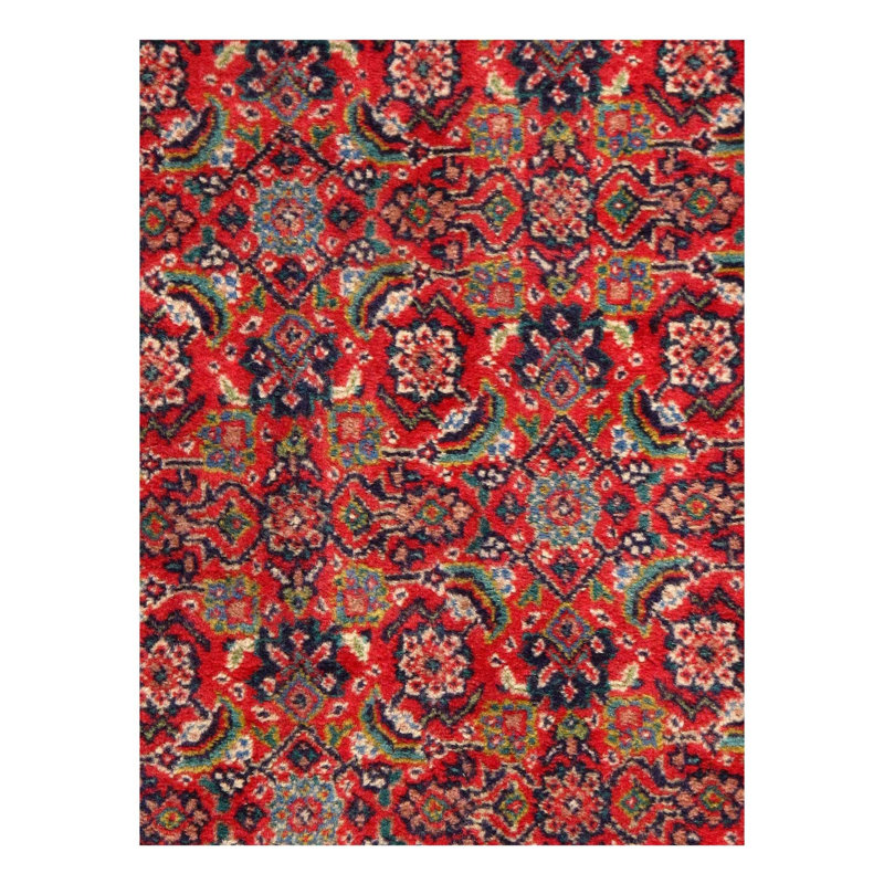 Weets Area Rug in Rust