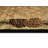 Calica Rug-214220753