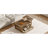 Chic Coffee Table With And Modern Touch Stylish Practical Storage Options-877331402