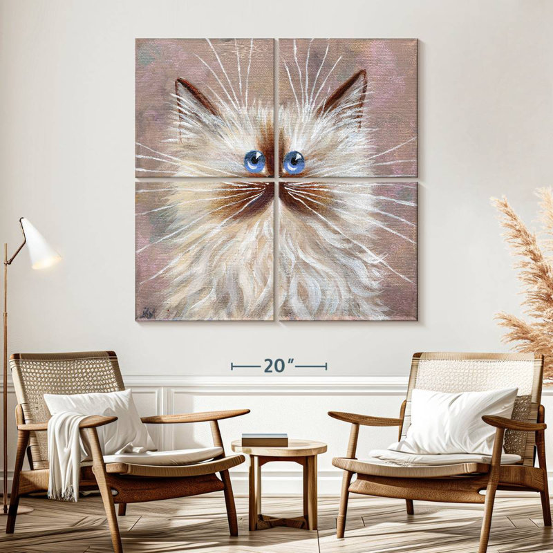 Chaton Brampt Seal Point, H 57 po x l 57 po
