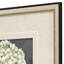 Hydrangeas on Black S/2