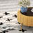 Rilee Velvet Ottoman-505578445