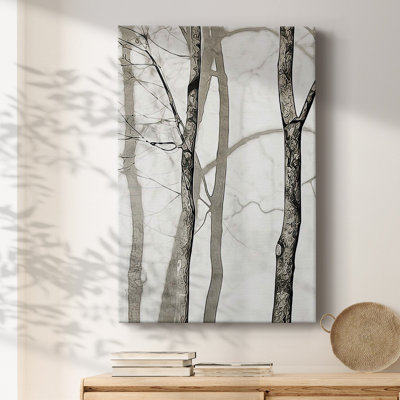 Shadowed Tree Trunks I, reproduction d'art sur toile