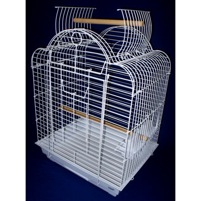 Cage à oiseau avec plateau de jeu ouvert feston