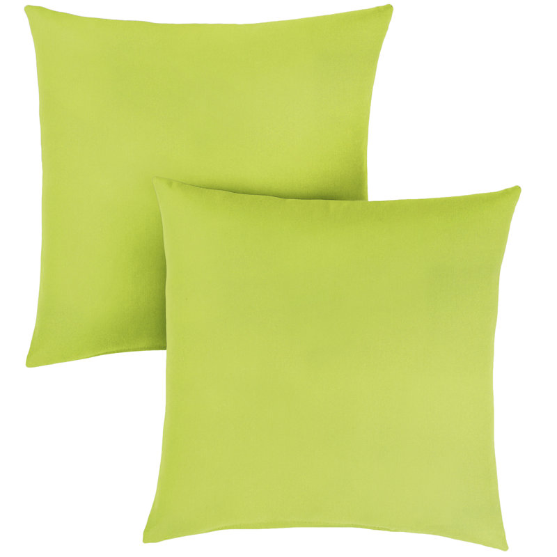 Housse et insert de coussin d'extérieur Ashbrun Sunbrella, Carré 24 po, Sunbrella - toile ara