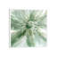 Macro Sage Flower I by Carol Robinson - Wrapped Canvas Painting-343693089-343693116