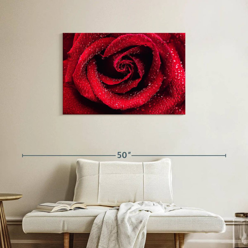 Harnek Droplets On Red Rose, 24'' H x 36'' W