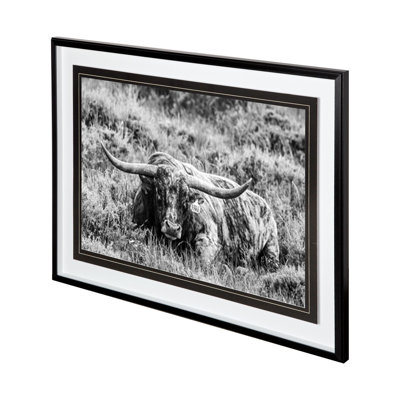 B&W Longhorn par Tyler Stockton, reproduction d'art encadrée sous verre