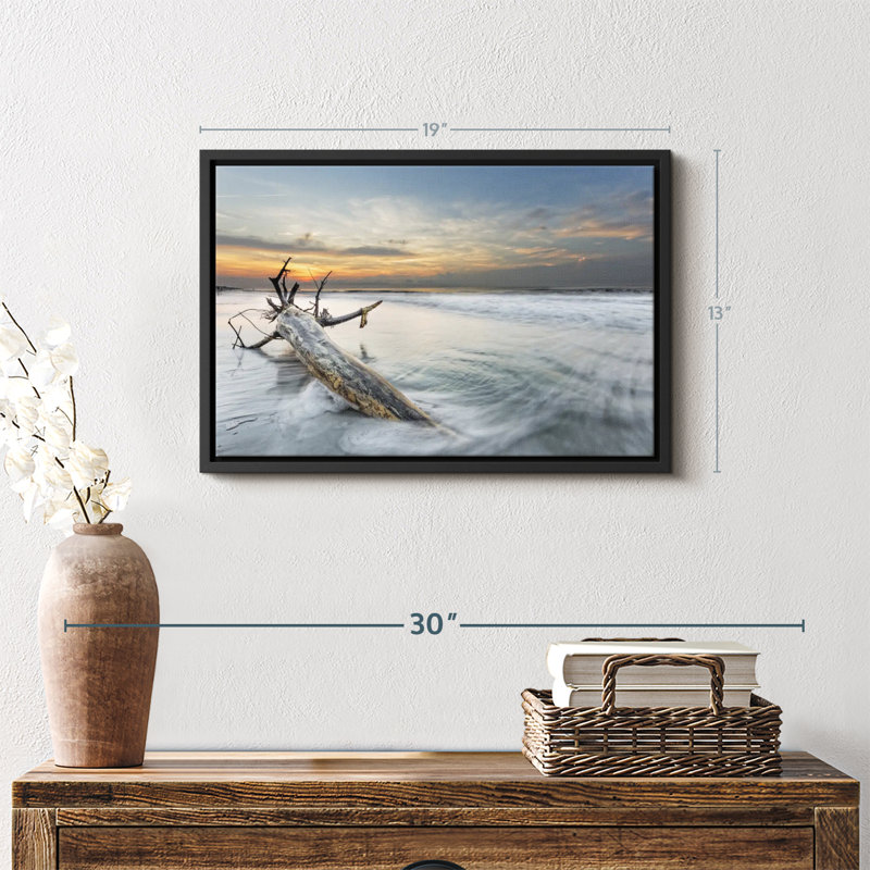 Plage «Hilton Beach Driftwood», H 13 po x l 19 po